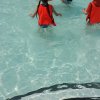 20150713_112616_resized